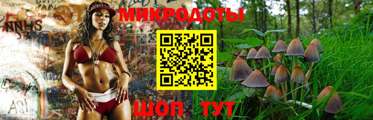 Псилоцибиновые грибы прущие грибы Сердобск