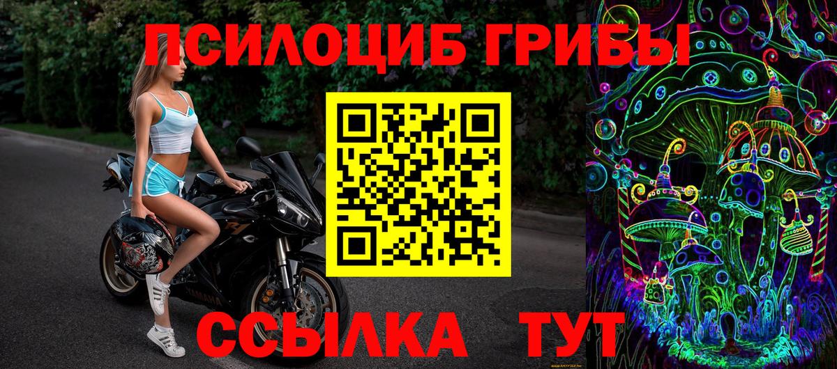 продажа наркотиков  Вход с VPN  Сердобск  Псилоцибиновые грибы Psilocybe 